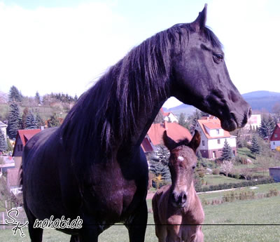 Mago mit Baby, knapp 3 Stunden alt