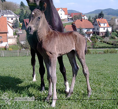 Mago mit Baby, knapp 3 Stunden alt