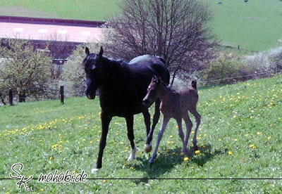 Baby 2 Tage alt