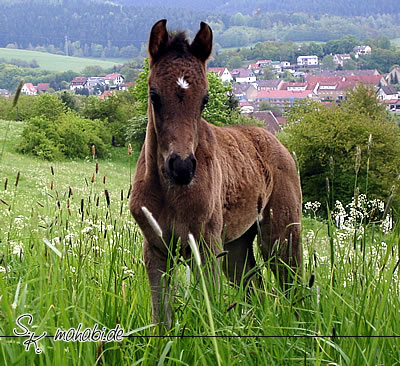 Sie ist mal wach!