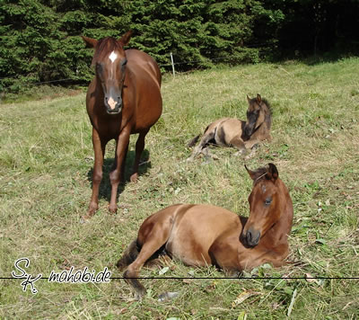 Babys pennen...