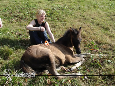 Putzen kann man auch im Liegen!