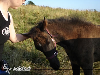 Bl�des Teil