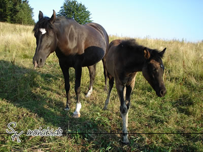 M�de, oder wie Mama so die Tochter