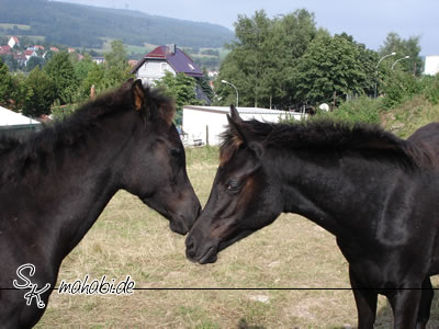 Moneera & Karubi